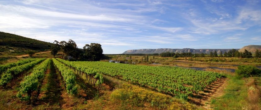 Tuscany wine Tour