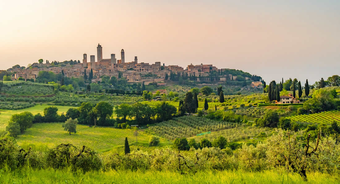Mediterranean Shores and Tuscan Vineyards