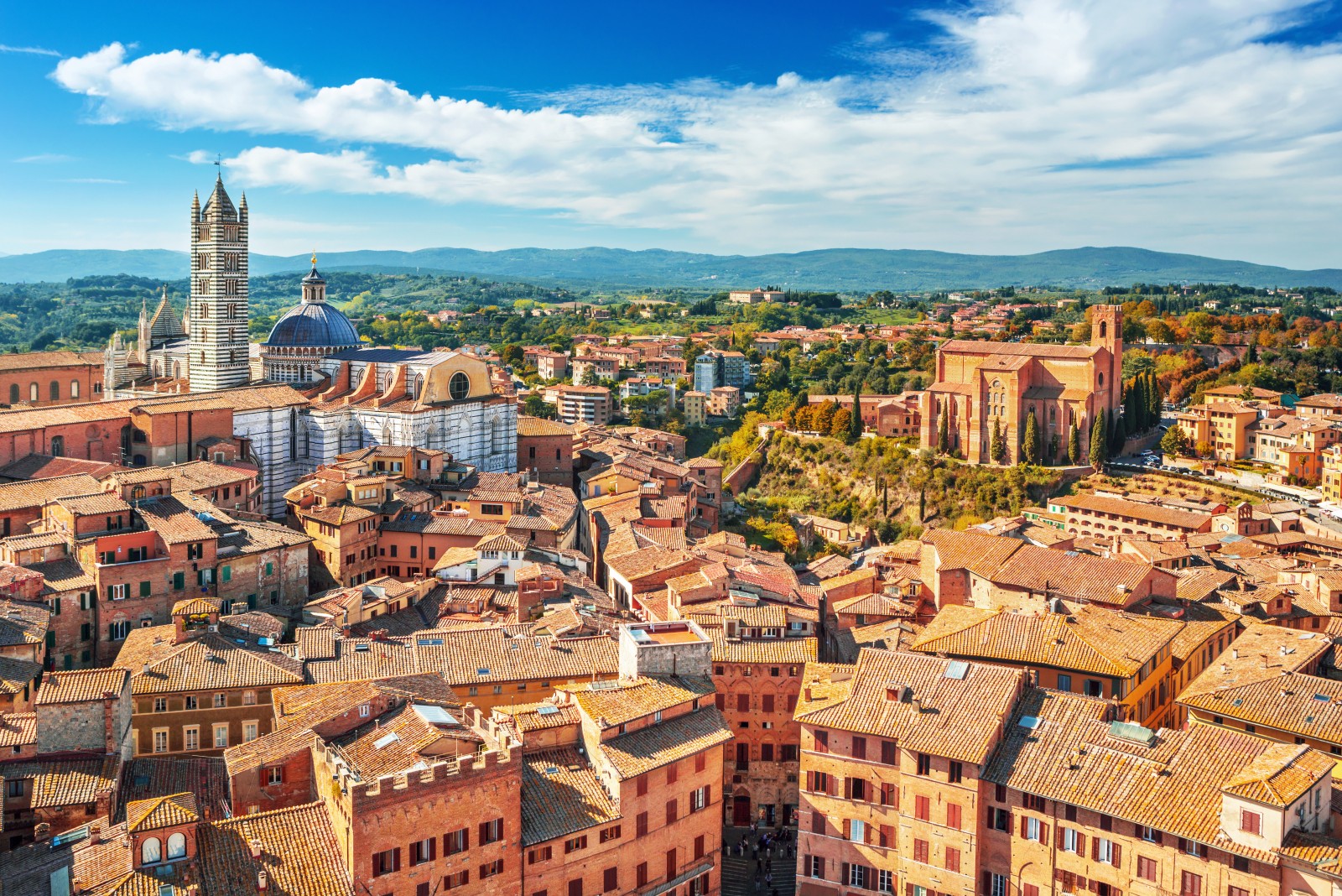 Tuscan Heritage and Harvest